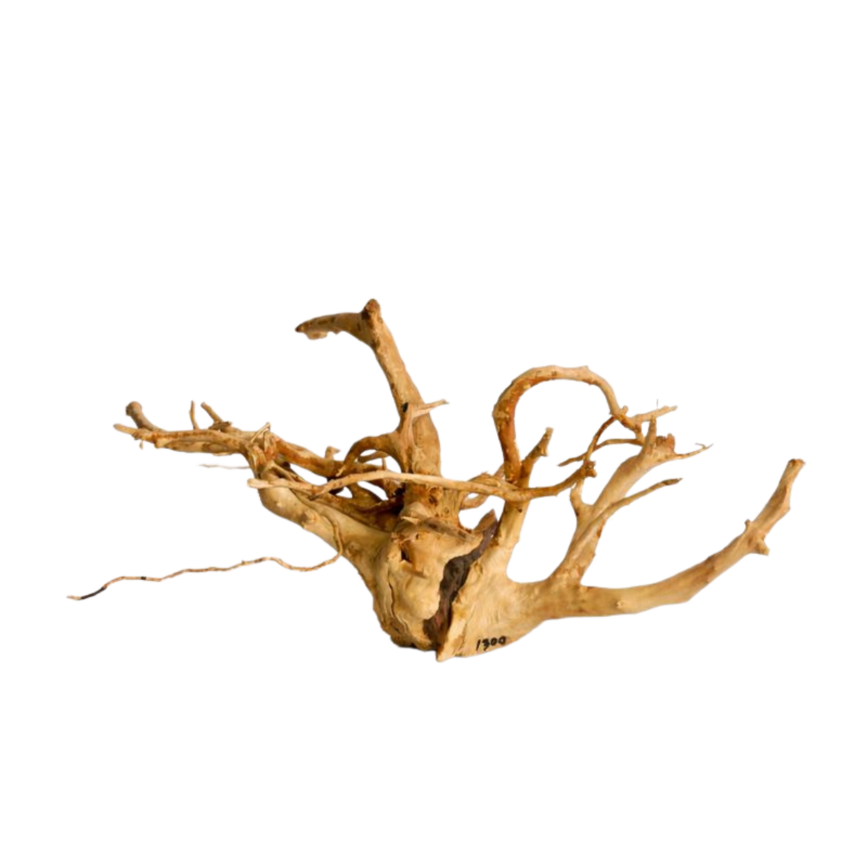 Premium Drift Wood PD-29 | L*W*H = 19*14*9 Inches