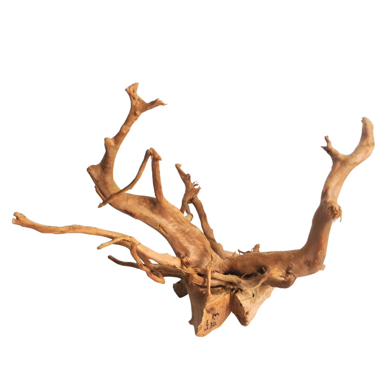 Premium Drift Wood PD-3 | L*W*H = 24*19*14 Inches