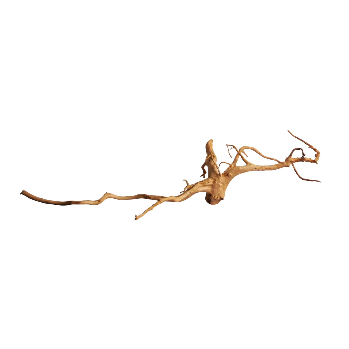 Premium Drift Wood PD-6 | L*W*H = 40*16*11 Inches