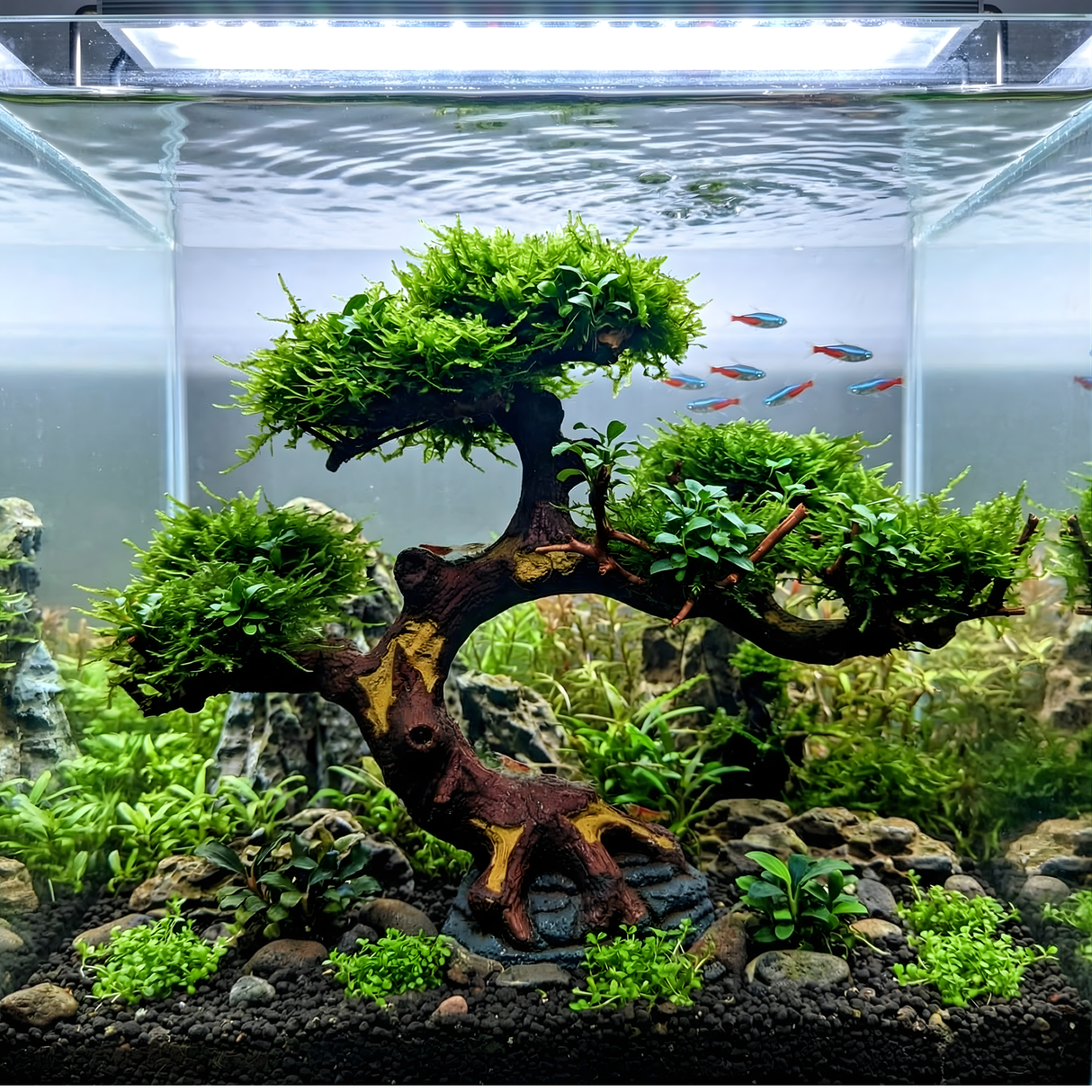 Ready Scape AA - 004 | L*W*H = 11*5*7 Inches