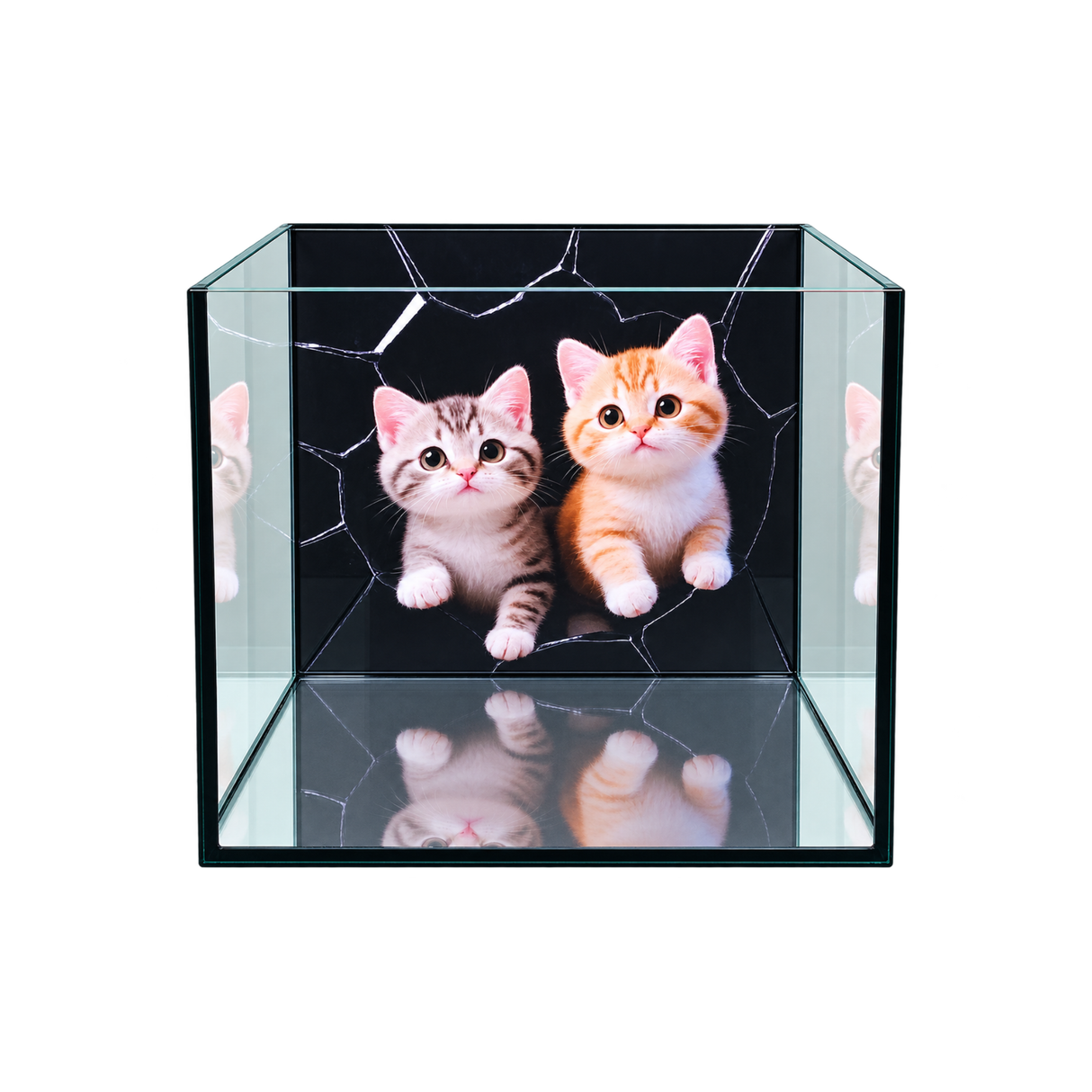 Ultra Clear Cubic Tank With Cat Background Sticker | L*W*H = 25*25*25 cm