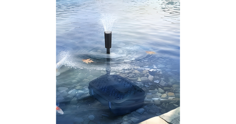 Is Your Pond a Crystal Oasis or a Murky Mess?