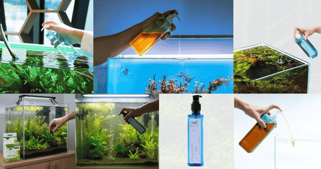 Aquarium Fertilizer: Fueling Your Underwater Garden