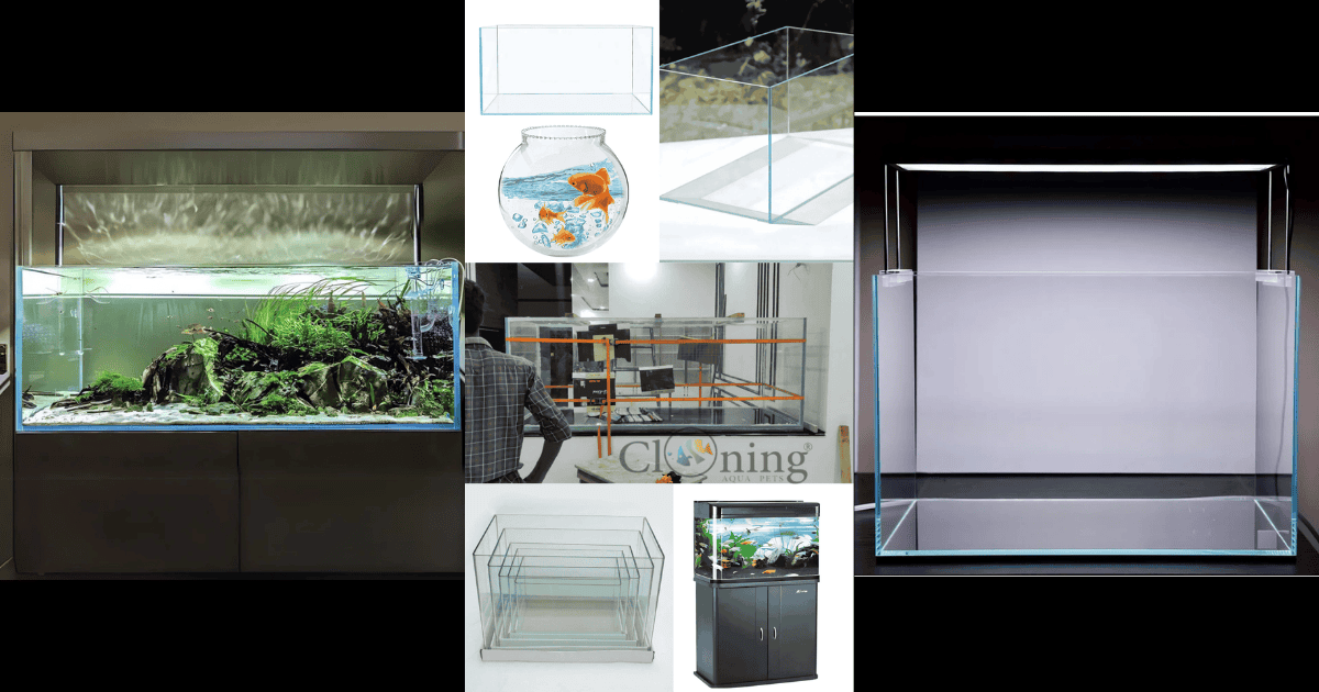 Discover the Beauty of Underwater Life with the Aquarium Tank