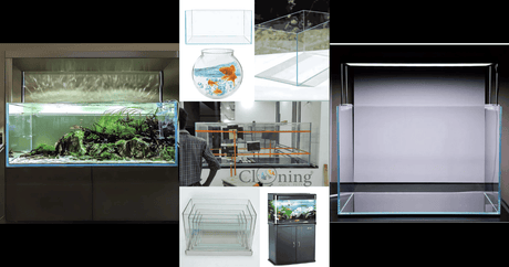 Discover the Beauty of Underwater Life with the Aquarium Tank