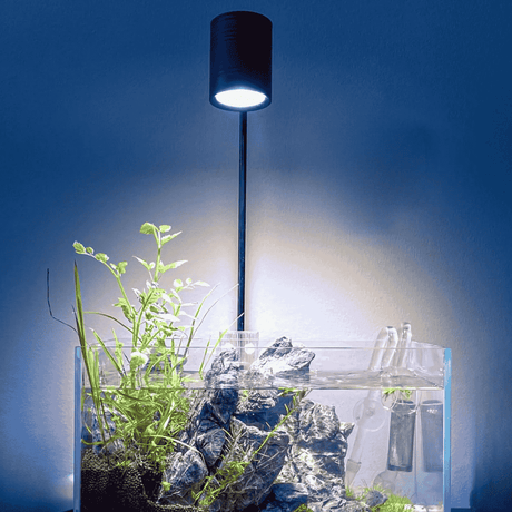 Aquarium Lighting Guide for Healthy Aquariums