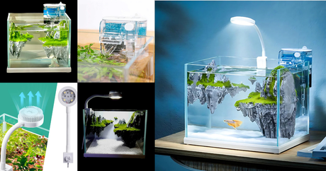 Cube One Mini Paludarium With Landscape & Kit – Transform Your Space with a Lush, Living Display
