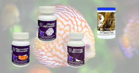Aquatic Remedies B3 Minerals – Targeted Nutrition for Flowerhorn, Shrimp & Discus