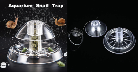 Aquarium Snail Trap – Easy Solution to Control Snails in Your Tank