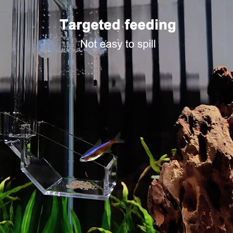 Feeding Pipe For Food Feeder With Detachable Acrylic Tube WH-601