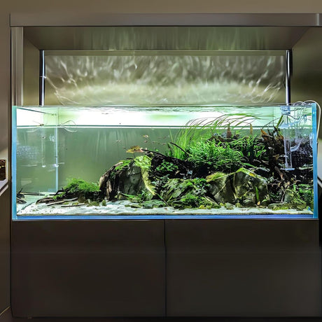 Customized Ultra Clear Open Tank (L*W*H = 120*40*40 Cms) | 12mm