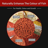Basic Tropical Fish Pellets | With Added Probiotics
