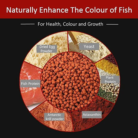 Basic Tropical Fish Pellets | With Added Probiotics