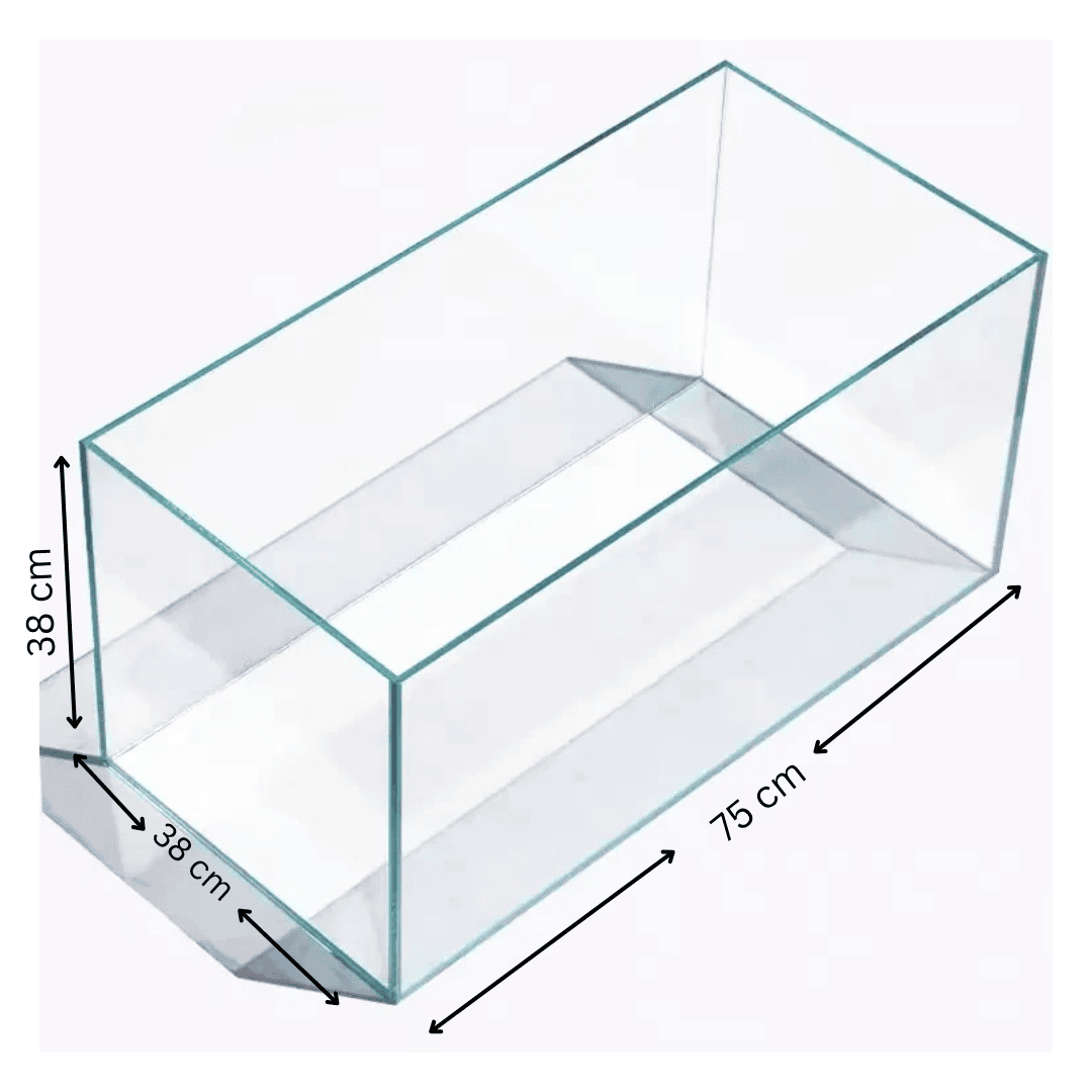 Customized Ultra Clear Open Tank (L*W*H = 75*38*38 Cms) | 8mm