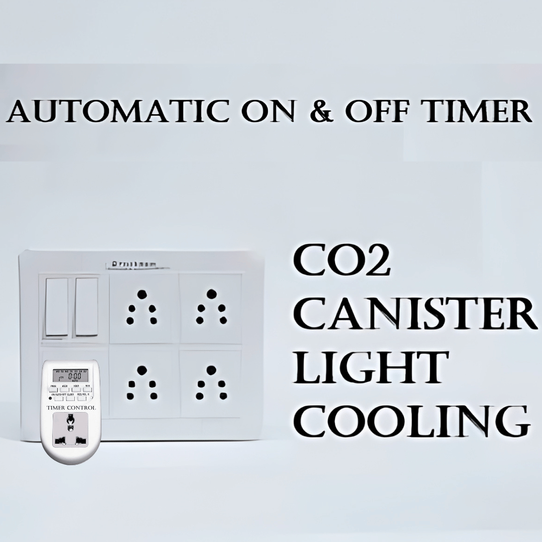 Auto Timer ON/OFF With Switch Box
