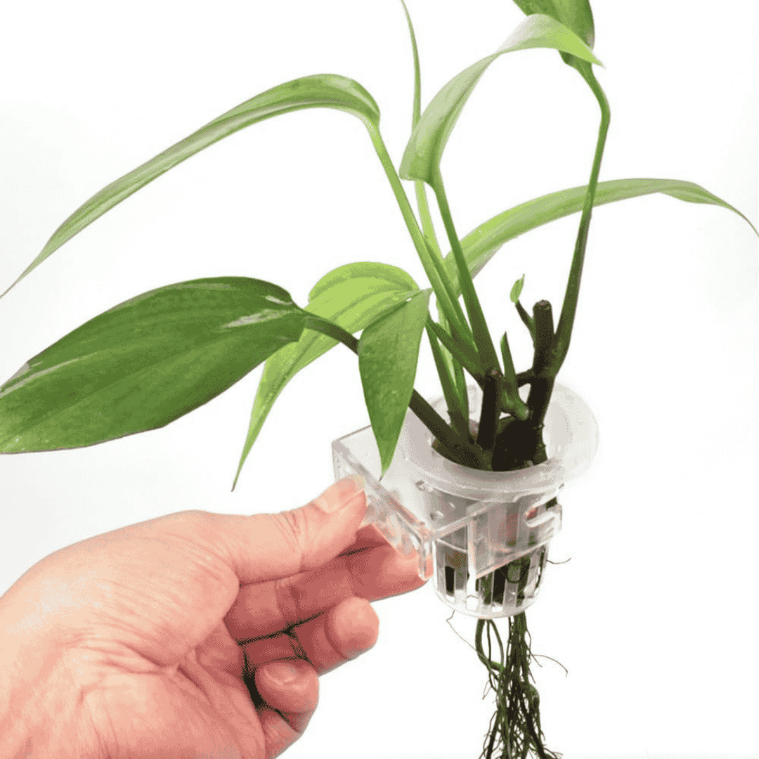 Aquarium Plant Holder Cup