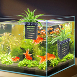Aquarium Hanging Plant Holder