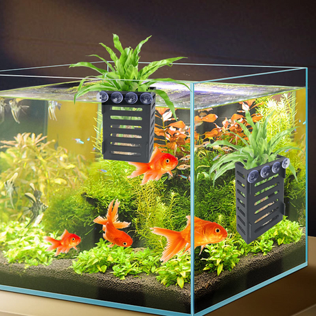 Aquarium Hanging Plant Holder