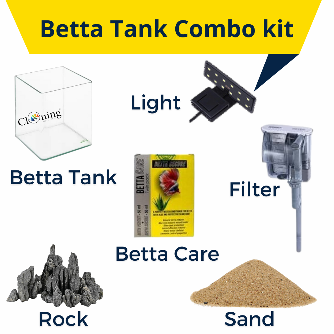 Betta Tank Combo Kit cloningaquapets