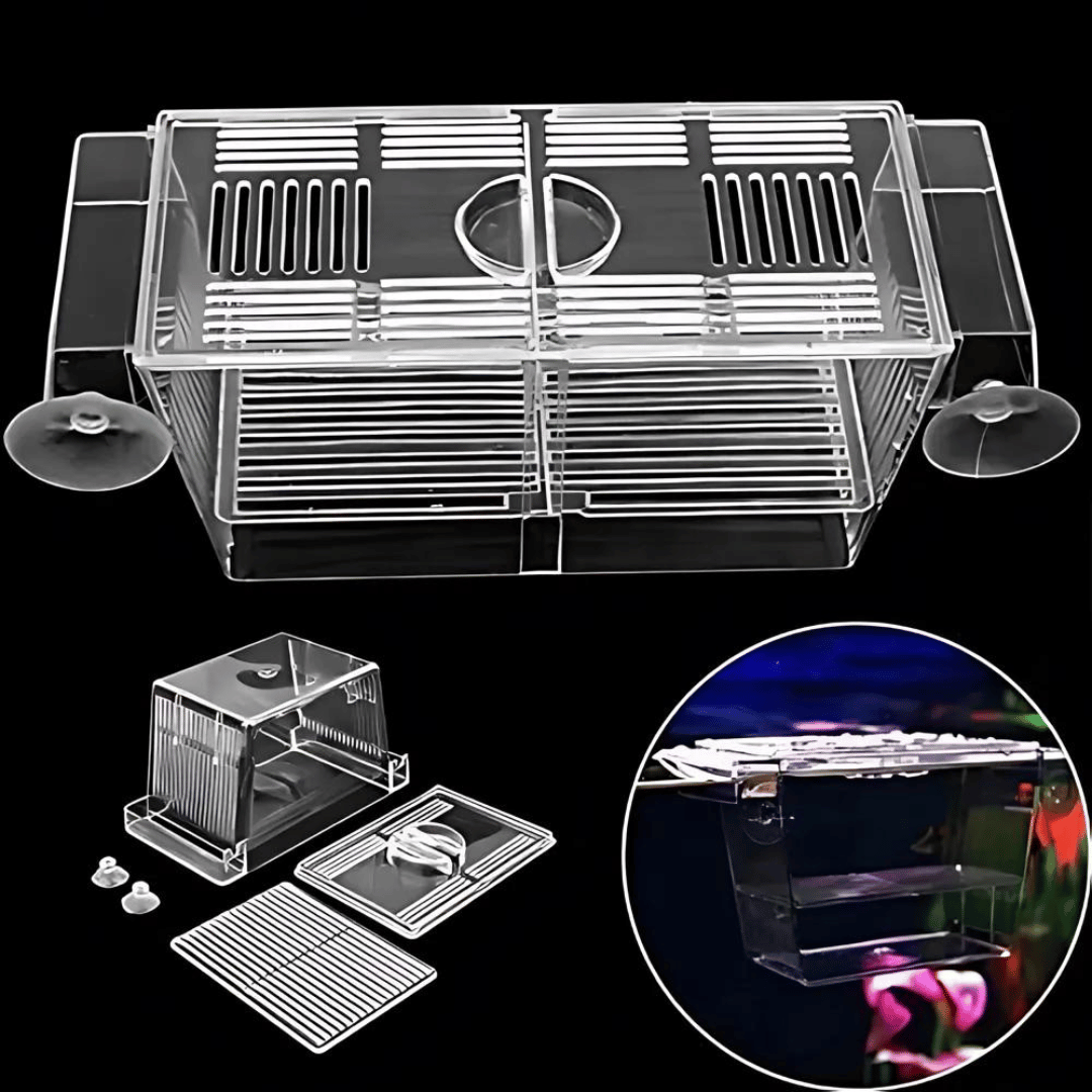 Breeding Box | Breeding Net