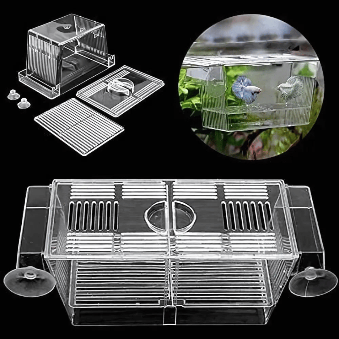 Breeding Box | Breeding Net