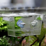 Breeding Box | Breeding Net