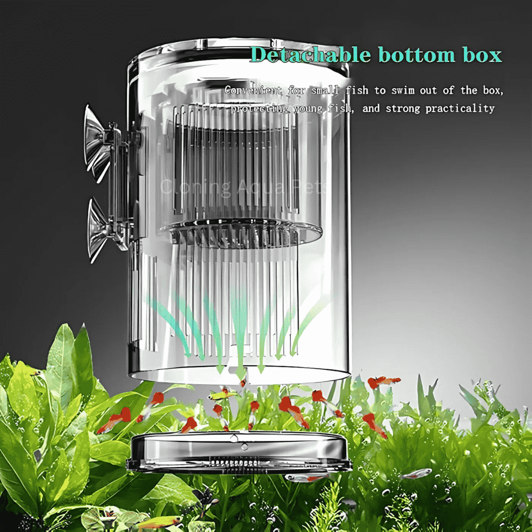 Breeding Box | Incubator Isolation Box CS-306