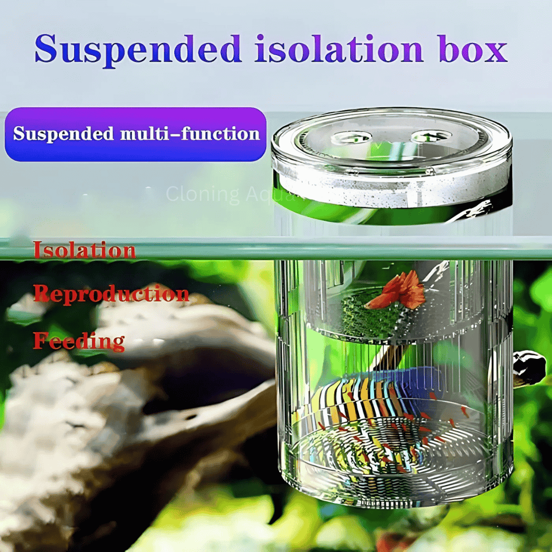 Breeding Box | Incubator Isolation Box CS-306