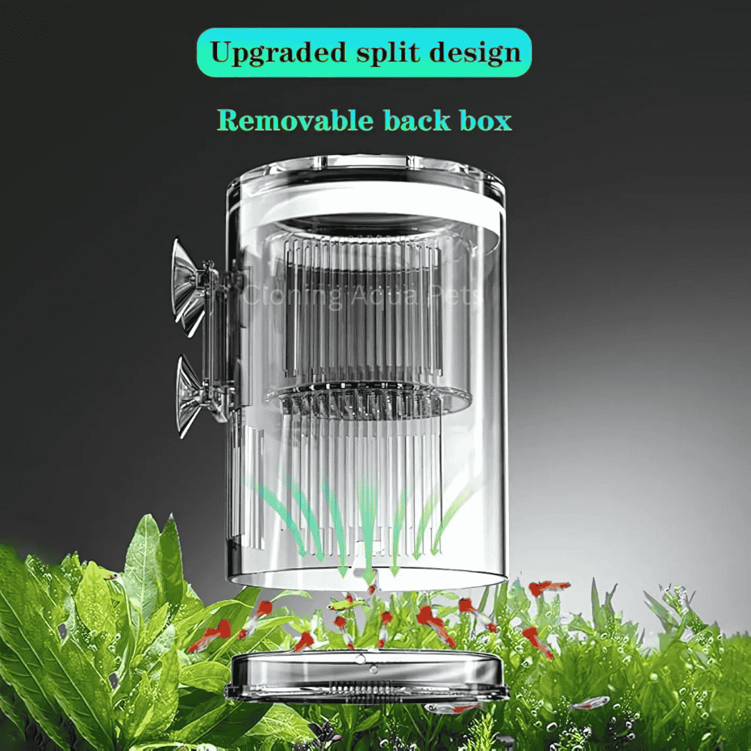 Breeding Box | Incubator Isolation Box CS-306