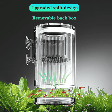 Breeding Box Incubator Isolation Box CS-306