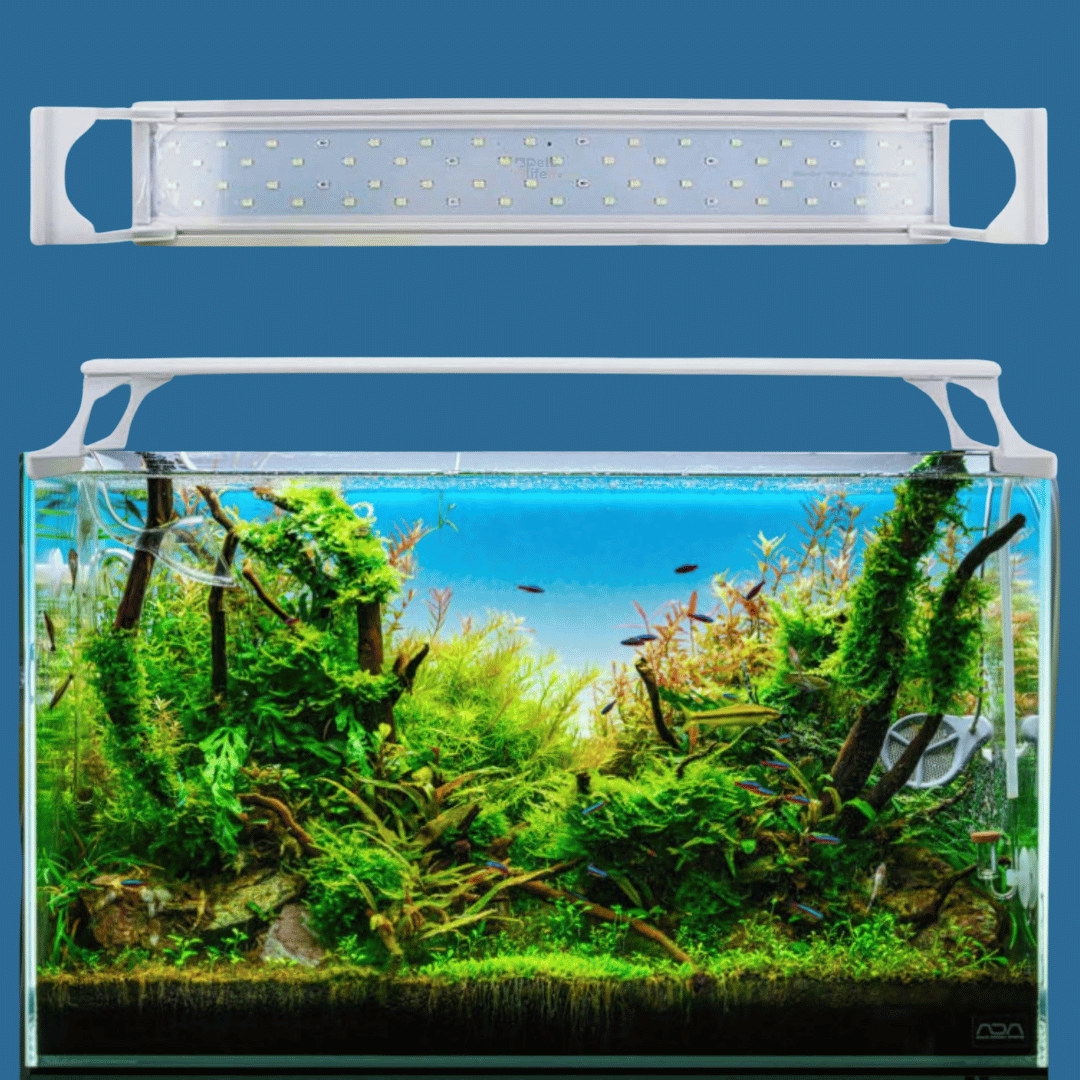 COCO H400 WRGB LED Light (Suits 40-50 Cms)