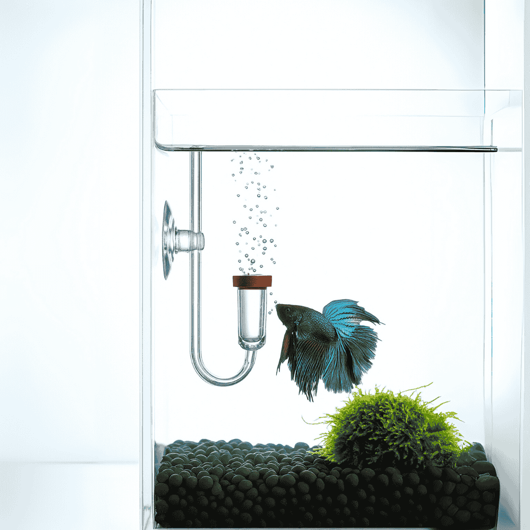 Chihiros Nano CO2 Diffuser Small