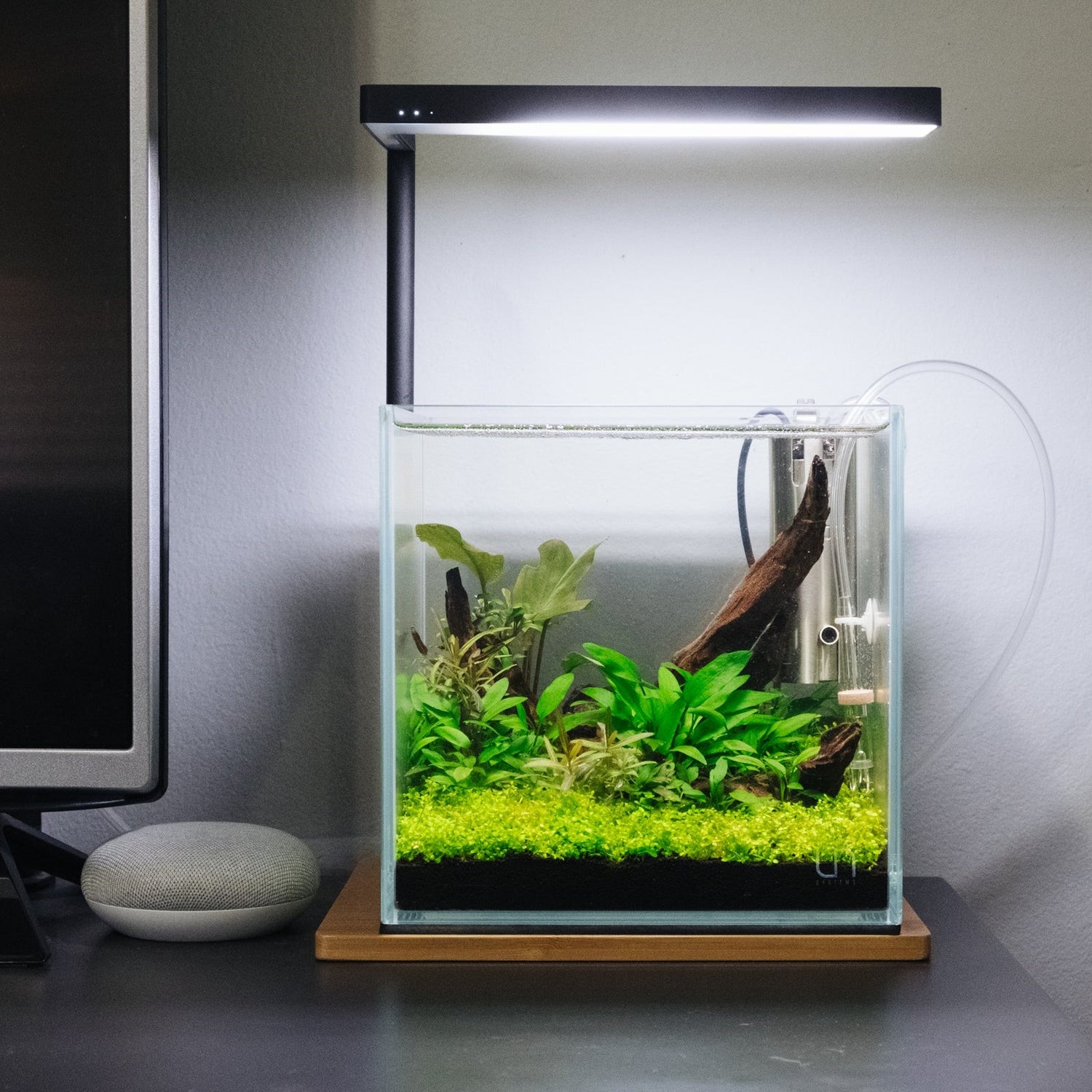 Customize Cubic Ultra Clear Tank Only (L*W*H = 8*8*8 inches) | 5mm