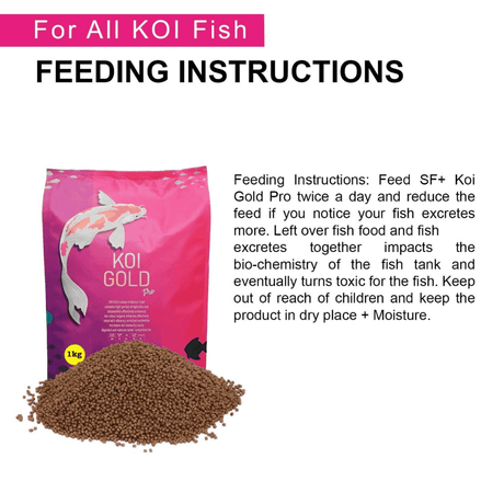 Food Redfin Koi Gold pro