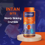 Food Intan Bits Slow Sinking Crumble