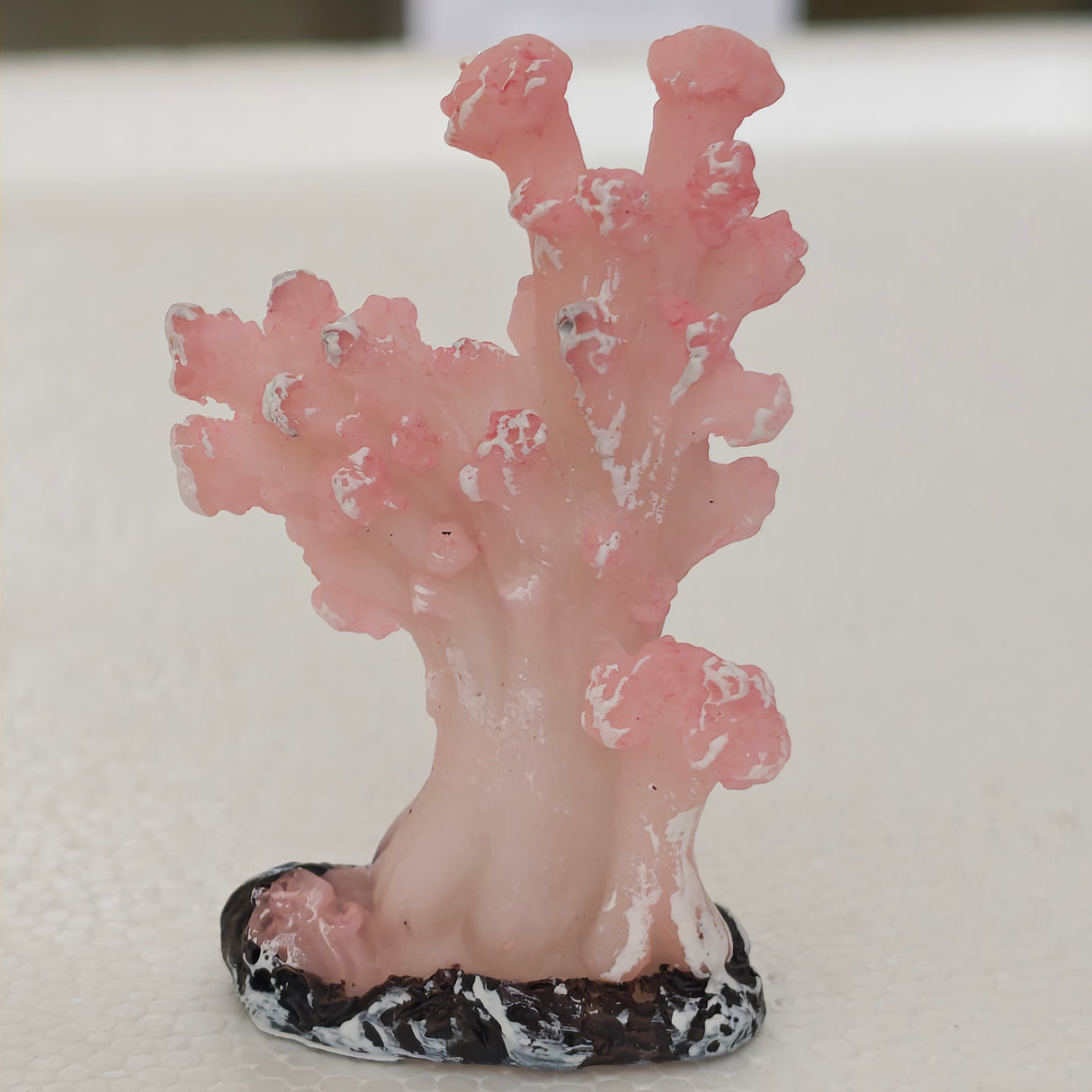 Pink Corel Toy