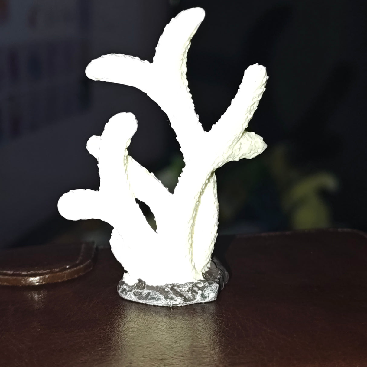 White Corel Toy