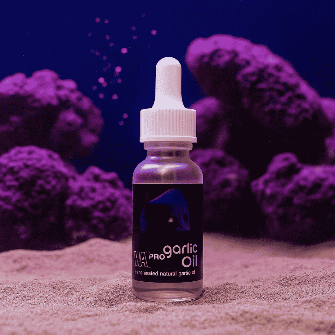 Medicine Aquatic Remeties WA Pro Garlic Oil | 20 ML