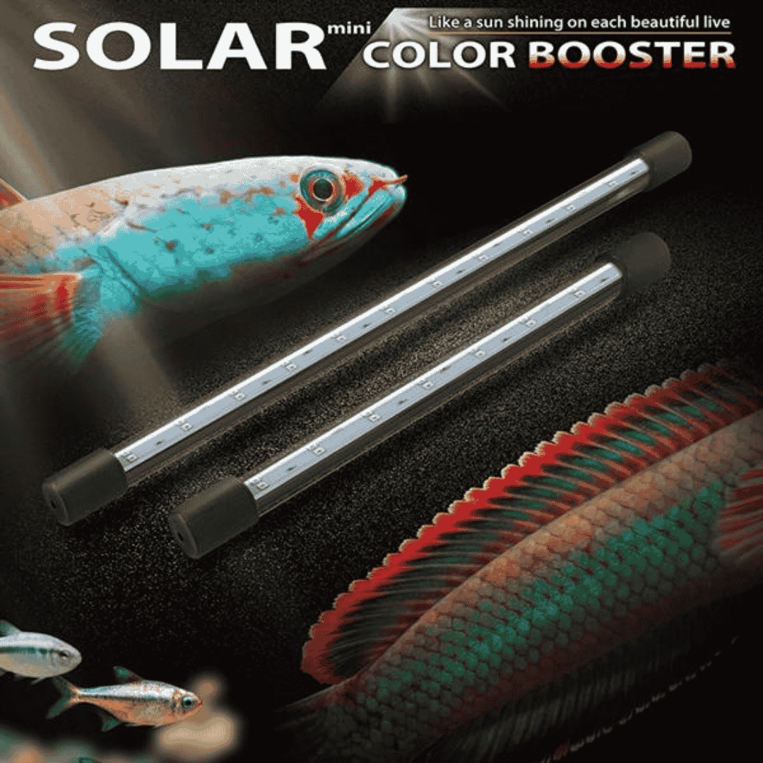 Neo Helios ST-720 Solar Mini Color Booster 25W