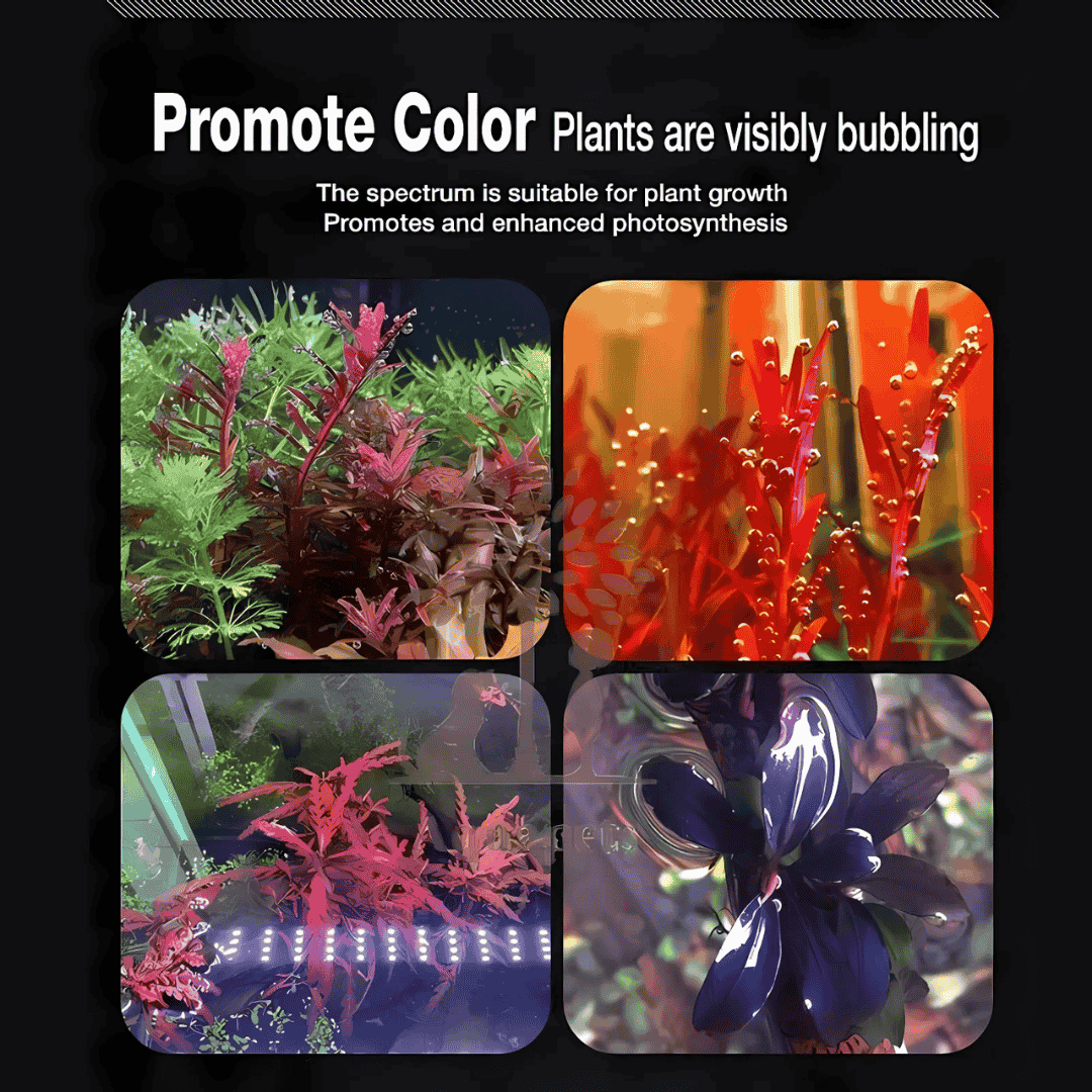 Neo Helios XP-1200 VIVID Flat Planted Tank Light