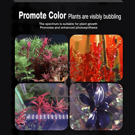 Neo Helios XP-300 VIVID Flat Planted Tank Light