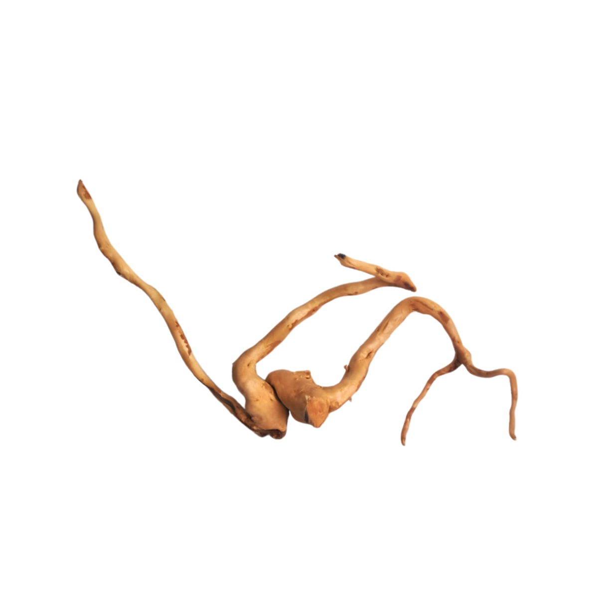 Premium Drift Wood PD-11 | L*W*H = 28*7*15 Inches