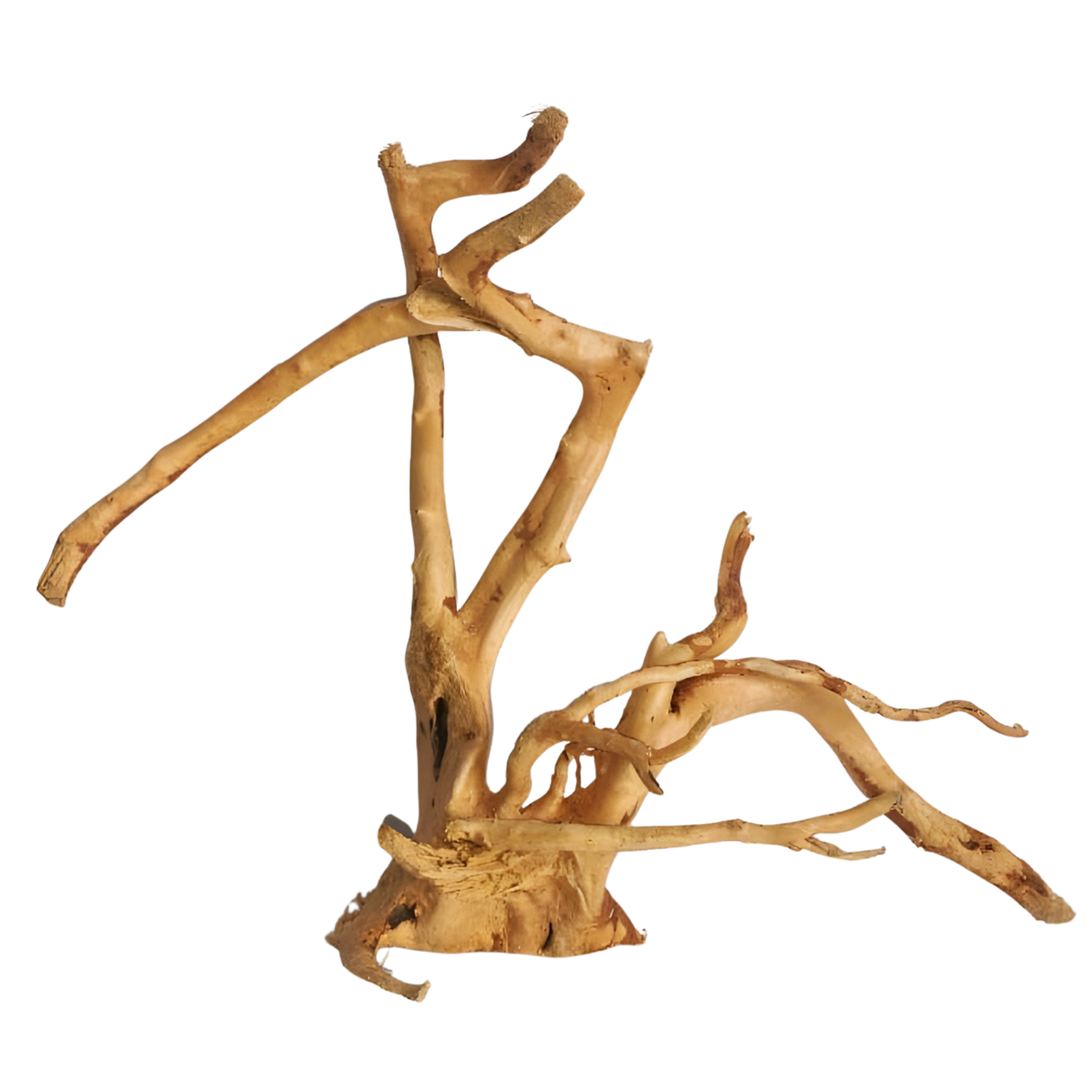 Premium Drift Wood PD-25 | L*W*H = 19*8*14 Inches