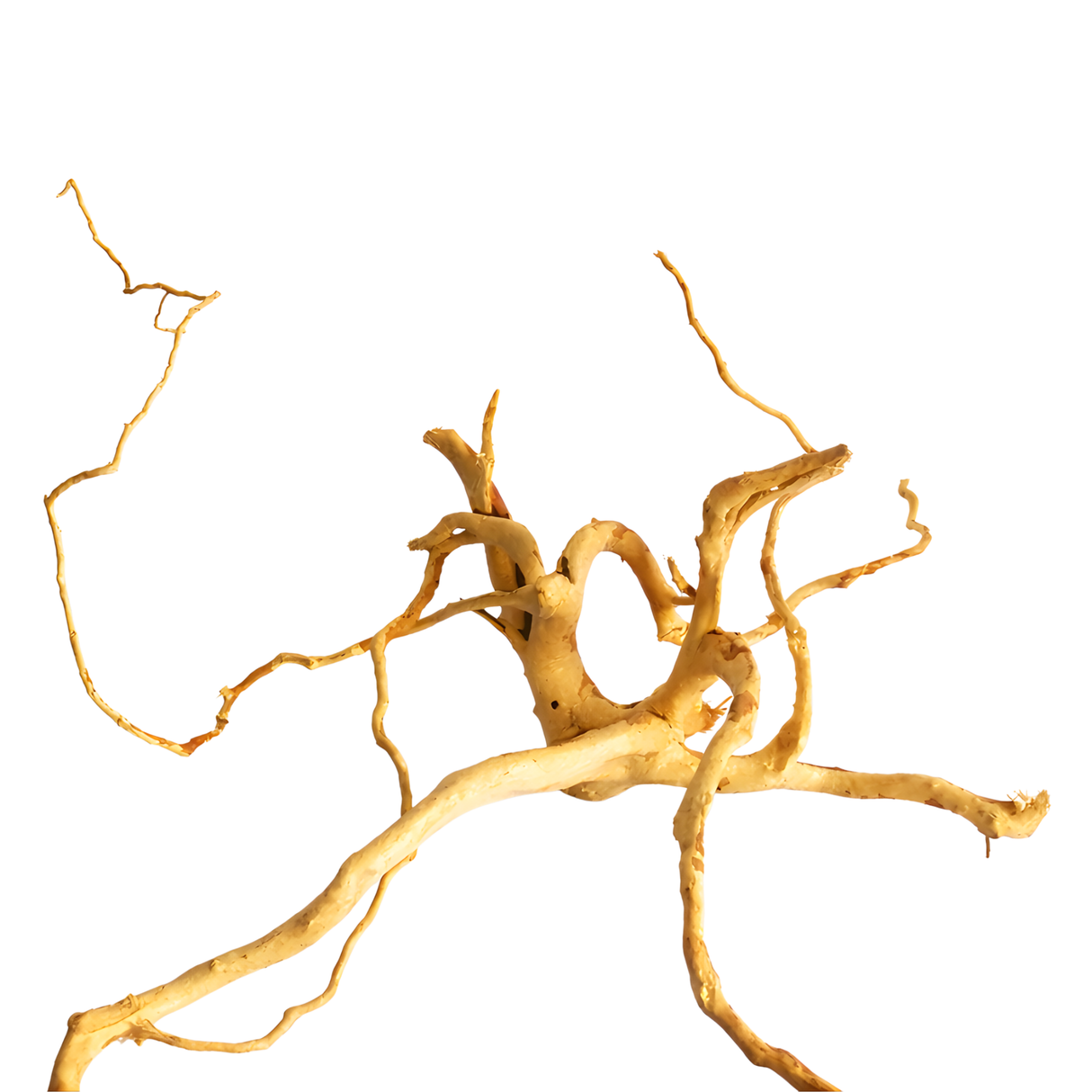 Premium Drift wood PD-8 | L*W*H = 30*21*14 Inches