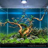 Premium Drift Wood PD - 9 | L*W*H = 25*11*16 Inches