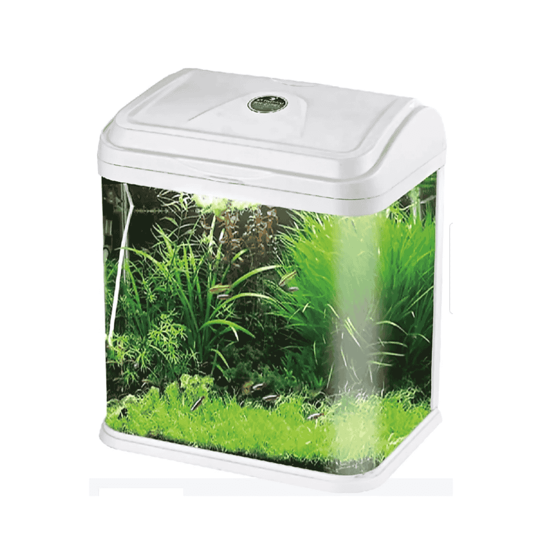 RS Electrical Glass Aquarium RS-480A (L*W*H = 48*25*45 cms)