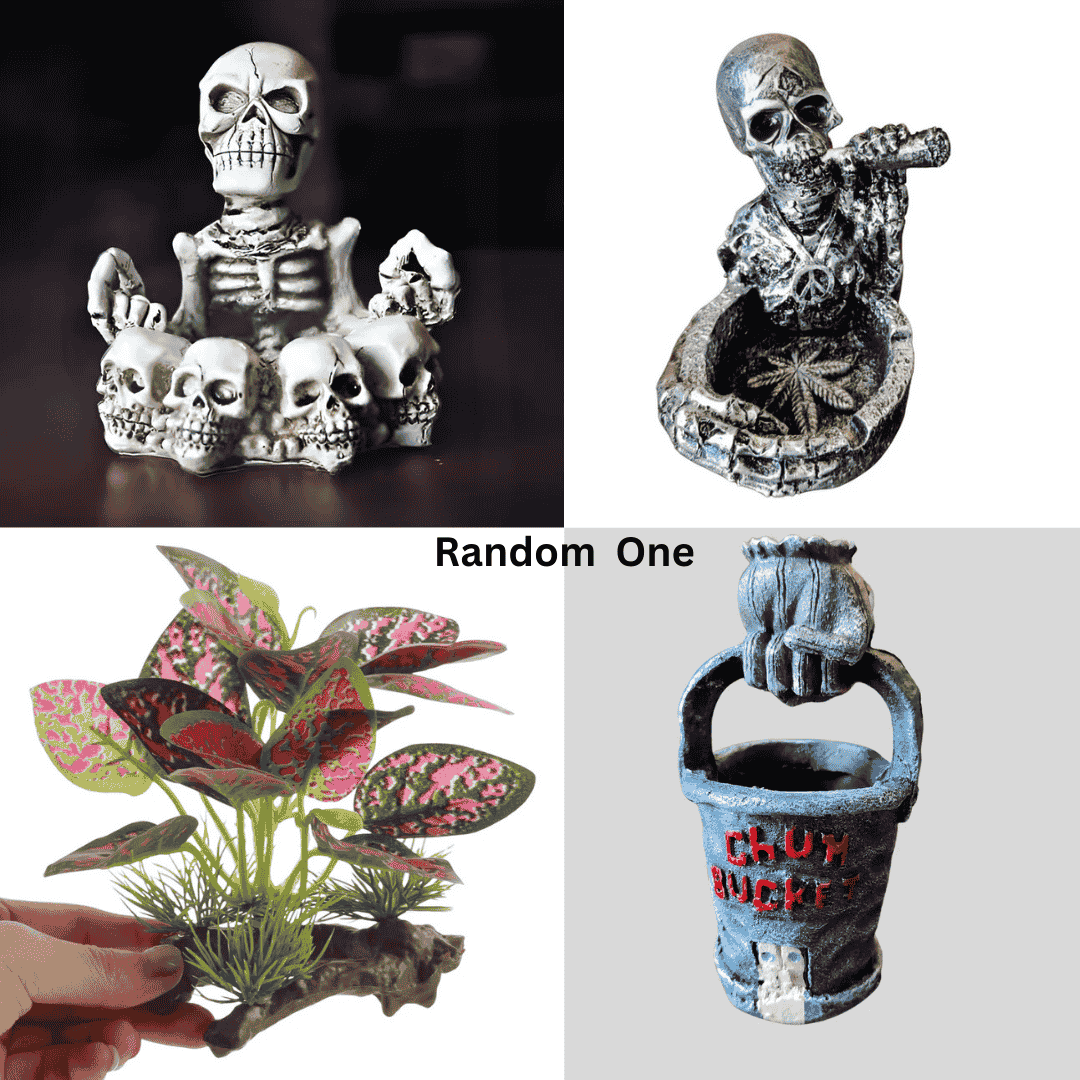 ಅಕ್ವೇರಿಯಂ ಬೆಟ್ಟ ಟ್ಯಾಂಕ್┃ಲೈಟ್ X3┃206H ಹ್ಯಾಂಗನ್ ಫಿಲ್ಟರ್┃ರಾಕ್┃ಬಿಳಿ ಮರಳು ಅರ್ಧ ಕೆಜಿ [ಕಾಂಬೋ]