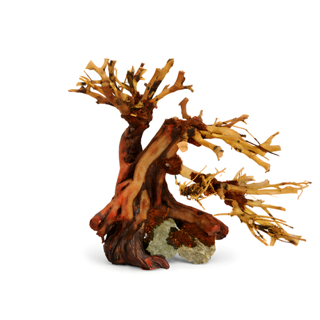 Ready Scape AA - 001 | L*W*H = 9*5*7 Inches