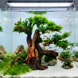 Ready Scape AA - 001 | L*W*H = 9*5*7 Inches