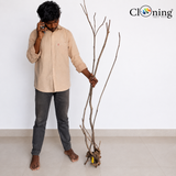 Stem Driftwood SD25 | L*W*H = 13*16*63 Inches